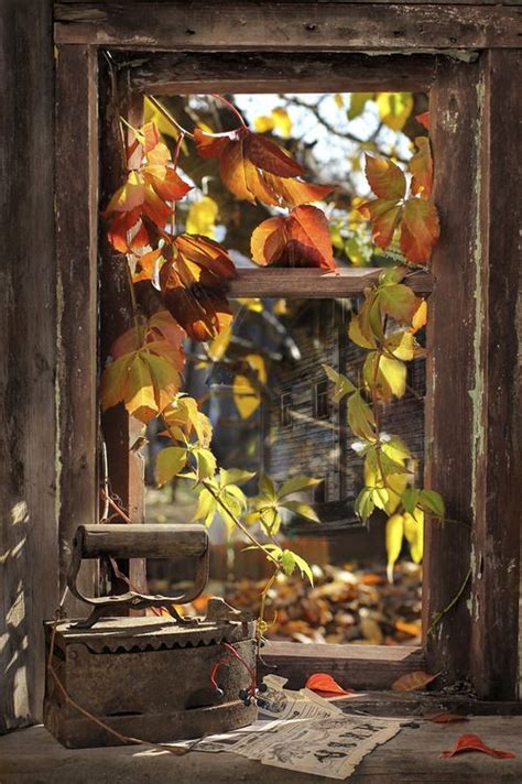 Pin By Patti Marquis On Le Temps Des Feuilles Mortes Autumn Window