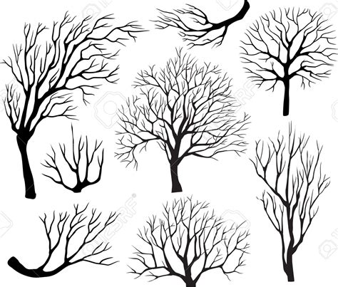 Set Of Silhouettes Of Trees Royalty Free Cliparts Vectors And Stock Illustration Image