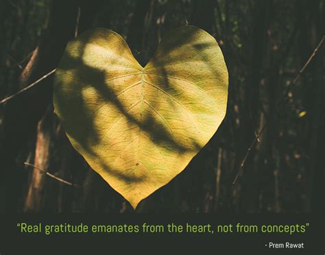 Real Gratitude Emanates From The Heart Not From Concepts Prem Rawat