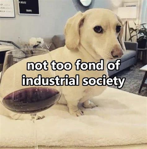 Not Too Fond Of Industrial Society Homophobic Dog Not Too Fond Of