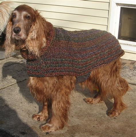 Ravelry Deafsetters Easy Large Dog Sweater Large Dog Sweaters