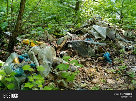 Garbage Dump Forest Image And Photo Free Trial Bigstock