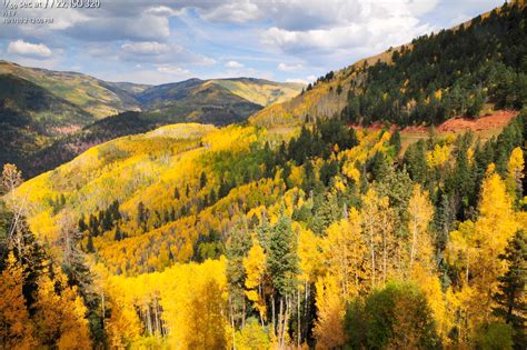 Colorado Fall Foliage Report Kit Frost