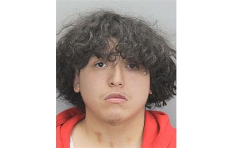 Teen arrested in McNair shooting that killed Westfield HS student | FFXnow