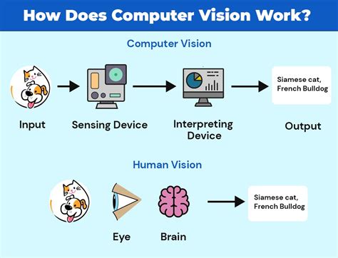 Computer Vision What This Fancy Term Is All About For Businesses