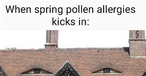 First Day Of Spring Memes About The Season Changing