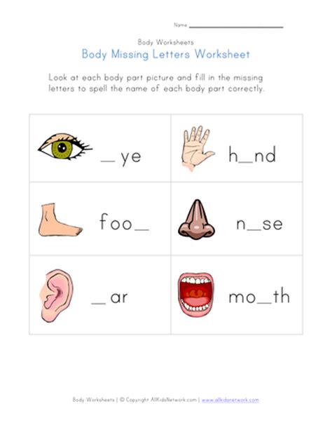 Human Body Term Lesson Plan And Materials Teaching Resources