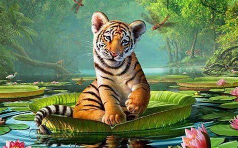 Animal Wallpapers Animal Planet Desktop Images Free