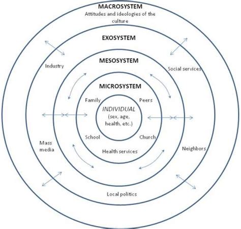 5 in the bioecological systems approach of bronfenbrenner, the body is part of the microsystem. Ecological systems theory - Wikipedia