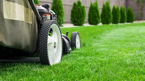 3 Ways To Maintain A Healthy Lawn In Phoenix Abc Scapes Inc