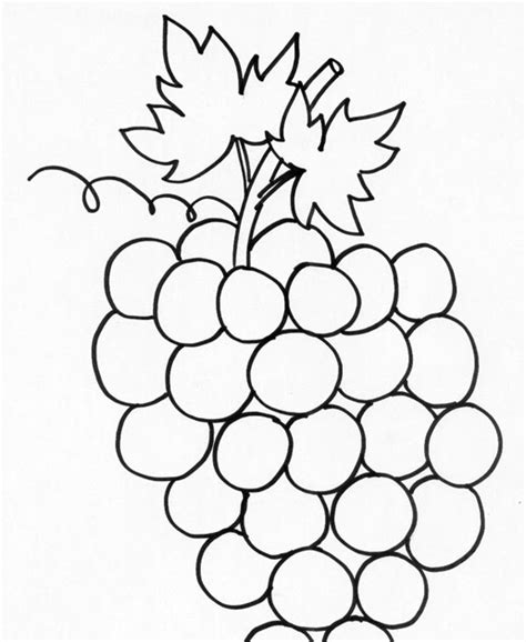 Colorier c'est une façon amusante pour développer votre créativité, votre. Vignes A Colorier : Coloriage de Fruits, dessin Raisin et ...