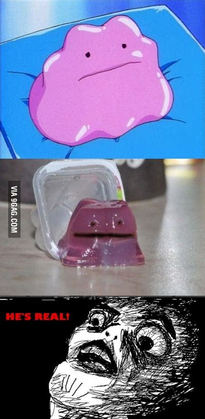 Ditto Is Real 9gag