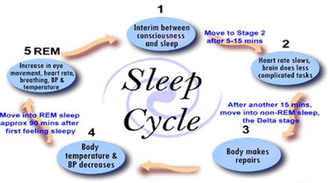 Top 6 Health Benefits Of A Good Sleep Selfhacked