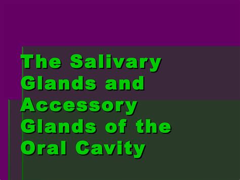 Solution Salivary Glands Studypool