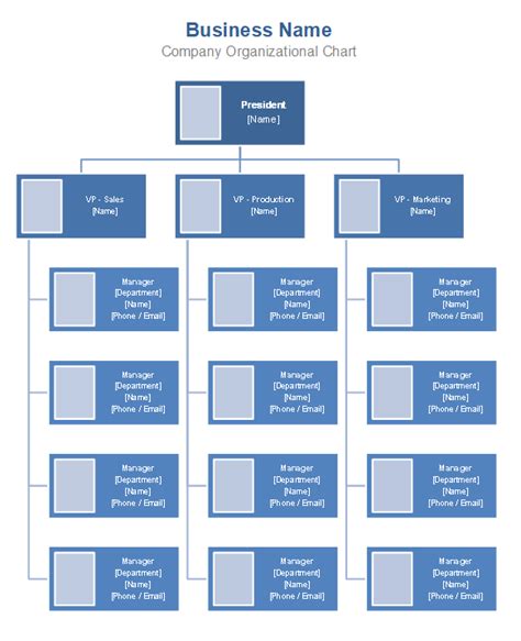 Free Organizational Chart Template Company Organization Chart How