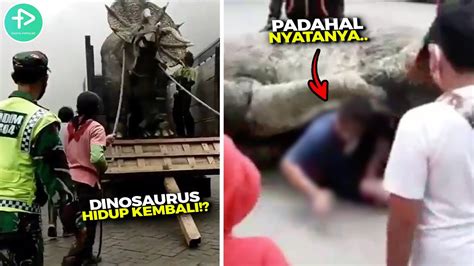 Seindonesia Heboh Dengan Makhluk Ini Inilah Fakta Dibalik Video