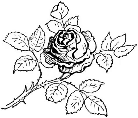 The very picture sends a message of love and peace. Coloring Pages: Rose Coloring Pages Getcoloringpages ...