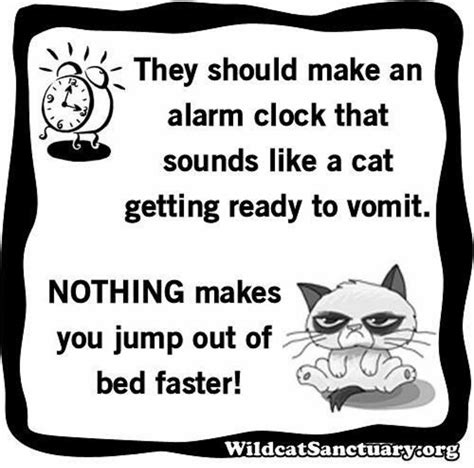 Alarm Clock For Cat People Like A Cat Dancing Cat Cats