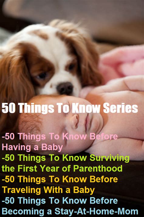Charlie The Cavalier 50 Things To Know Before Traveling With A Baby