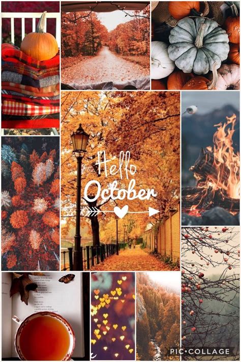 Cute October Wallpapers Kolpaper Awesome Free Hd Wallpapers