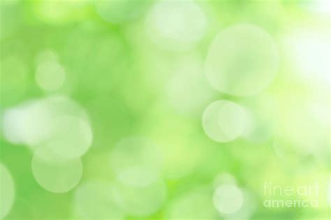 Abstract Fresh Green Background Photograph By Wdnet Studio Fine Art
