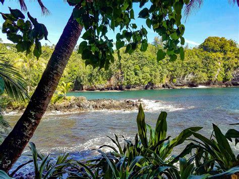 Big Island Of Hawaii Tours And Activities Hilo And Kona
