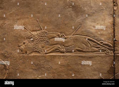 Hunting Mesopotamia Lion Relief Neo Assyrians Palace Nineveh Irak