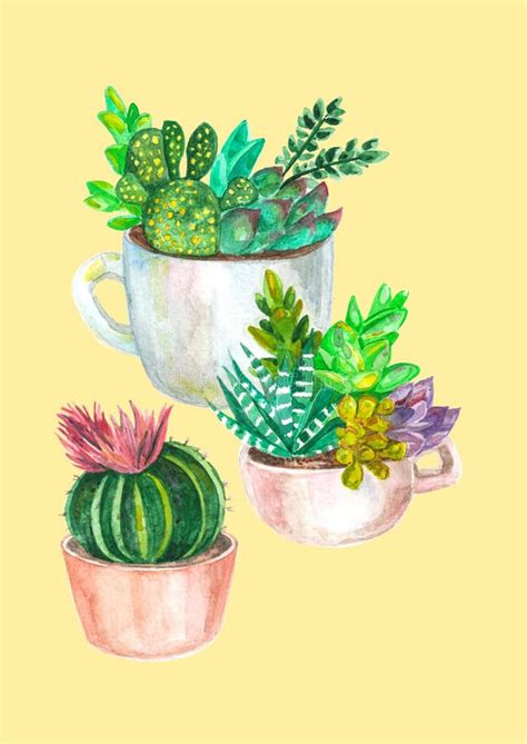 Watercolor Seamless Pattern Of Cacti And Succulents Watercolor