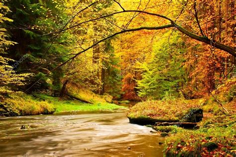 Autumn Mountain River Blurred Waves Fresh Green Mossy Stones And