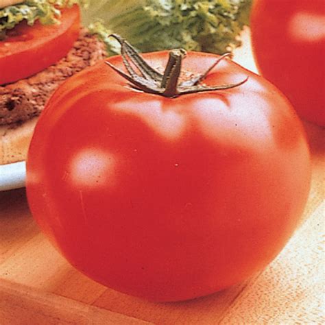 Explosion Style Low Price Hot Sales Of Goods 100 Giant Tomato Big Beef