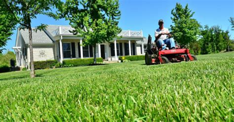 At lawn serv we developed our diy subscription box based on simple feedback from our different types of grass require different mowing heights and lawn treatments. DIY Lawn Care: 7 Ways to Get a Healthy, Green & Enviable Lawn This Summer - CompassBlog