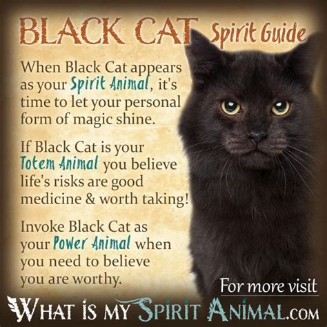 Cat Spirit Animal Animal Spirit Guides Black Cat Meaning Cat