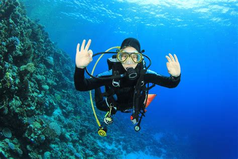 The Discover Scuba Diving Course Can Be Counted Towards Open Water