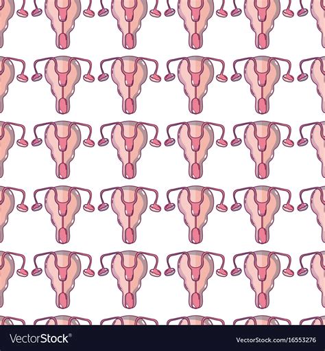 Fallopian Tubes And Uterus Women Organs Background