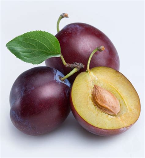 Buy Fresh Prunes Online Fresh And Exotic Fruits At Supple Agro