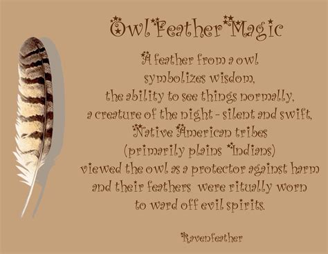 Owl feather magic … | Feather magic, Owl feather, Feather