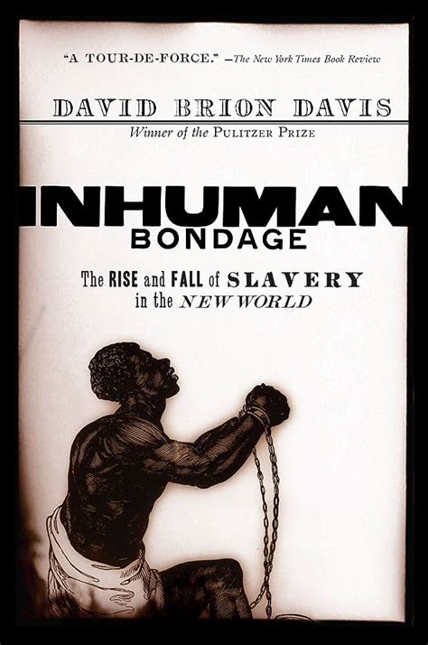 19th Century Slavery Exposed Dark Realities Unveiled