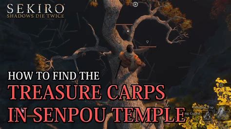 Sekiro Shadows Die Twice Senpou Temple Treasure Carp Location Youtube