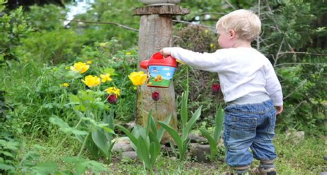 Making Your Garden Fun For The Kids Home Uk Magazine