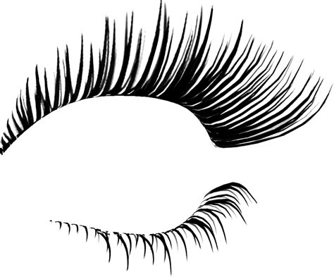 Eyelash Extensions Cosmetics Clip Art Eyelashes Png Download 1025