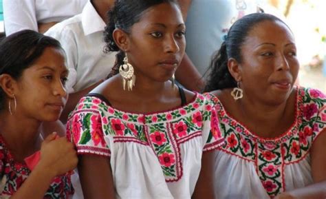 Personas Pueblo Y Comunidades Afromexicanas Lilly Téllez