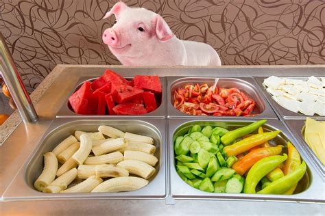 Pig Nutrition Pal Pig Advocates League