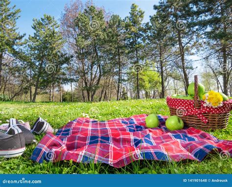 A Picnic Background With Basket And Blanket Outdoors Stock Photo