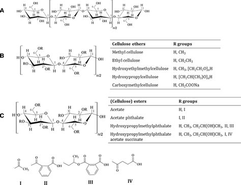 Chemical Structure Cellulose With Two β−14 Linked Anhydroglucose Units
