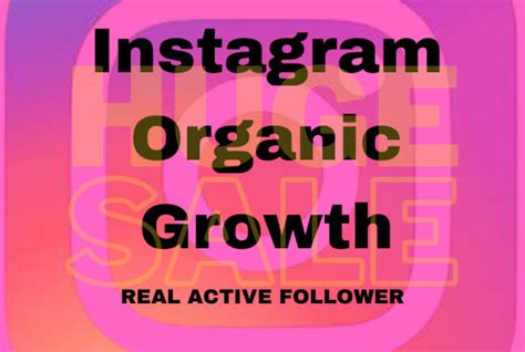Do Organic Marketing For Instagram Growth By Israthsulthana Fiverr