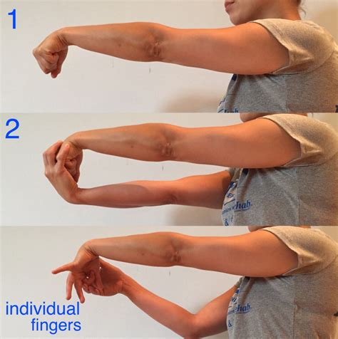Wrist Flexion And Extension