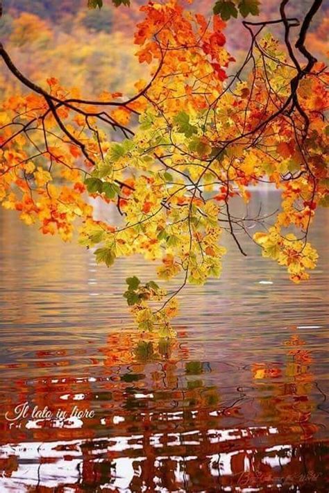 Pin By Becky Cagwin On Seasons Amazing Autumn Autumn Scenery Fall