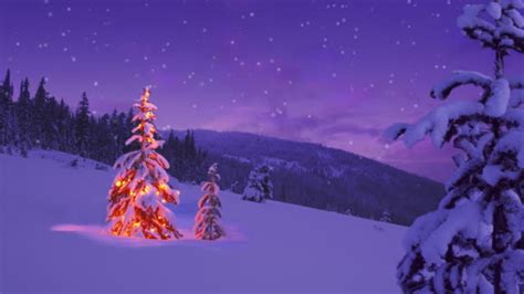 Christmas Tree Glowing On A Snowy Mountain Side Stock Footage Video