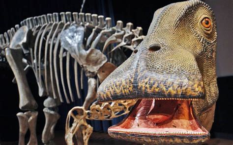 Nigersaurus A Dinosaur That Had 500 Teeth