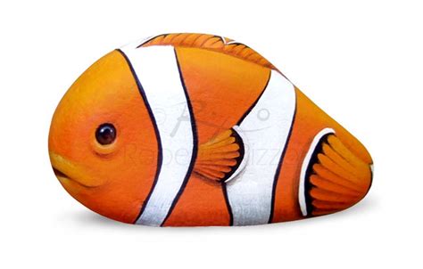 Rock Painted Clownfish A Unique Artwork For Ocean Lovers